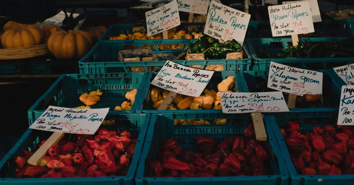 ¿Cómo afecta la temporada a los precios de los productos?