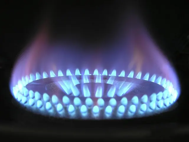 Cómo elegir el mejor electrodoméstico para tu hogar