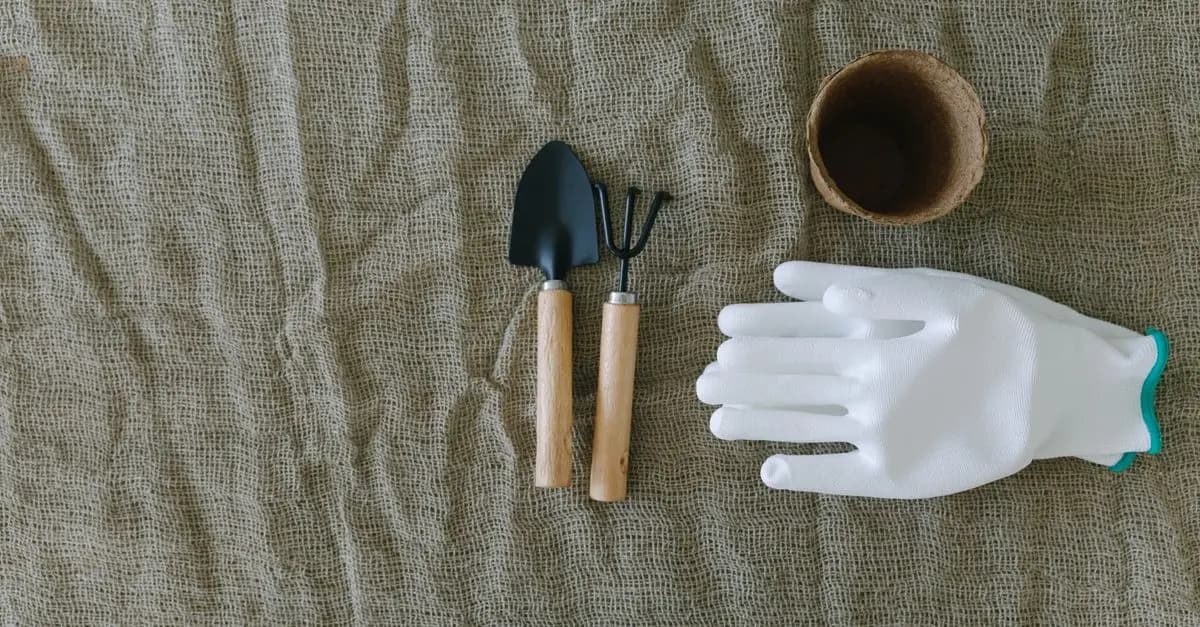 Las mejores herramientas de jardinería para el hogar